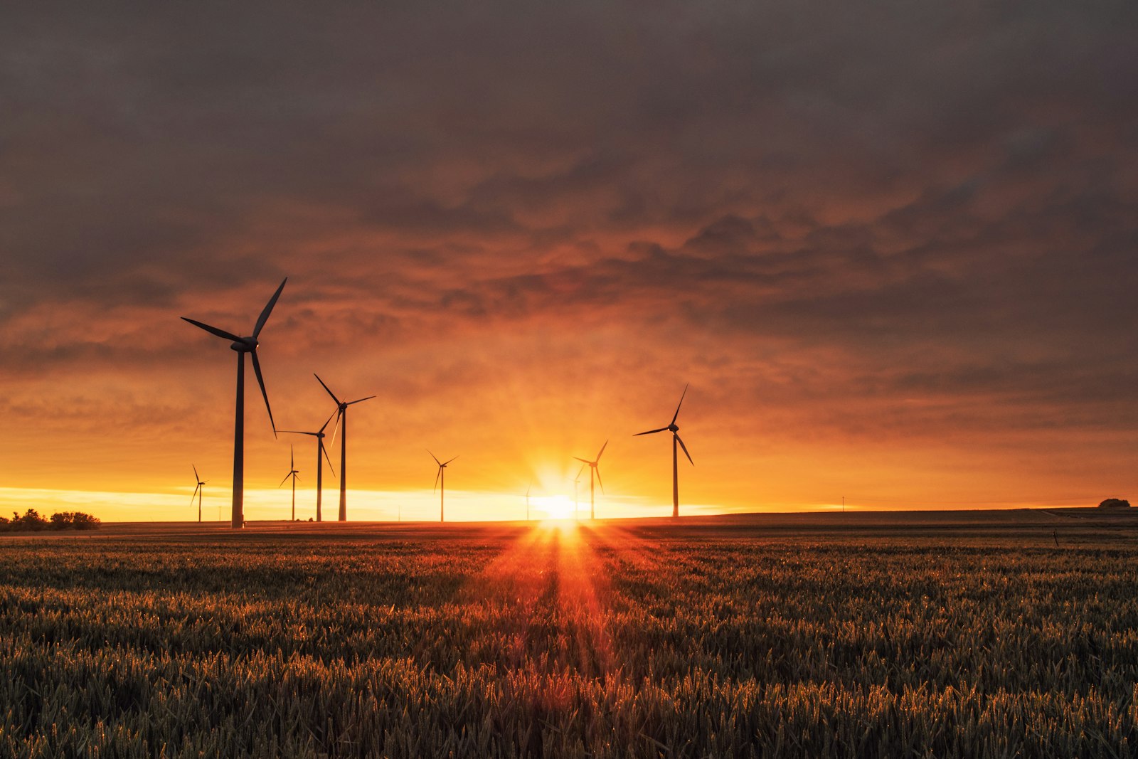 Wind turbines at sunset — utility-scale renewable generation